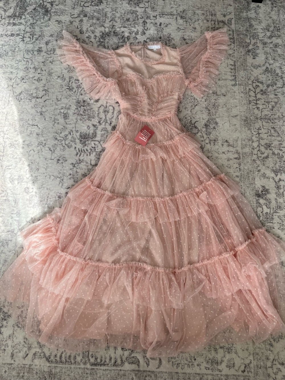 NWT Ivy City Co. Whimsical Dress in Blush 🐇